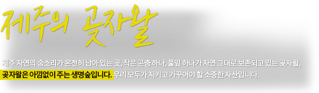 제주의 곶자왈. 제주 자연의 숨소리가 온전히 남아 있는 곳, 작은 곤충 하나, 풀잎 하나가 자연 그대로 보존되고 있는 곶자왈, 곶자왈은 아낌없이 주는 생명숲입니다. 우리 모두가 지키고 가꾸어야 할 소중한 자산입니다.