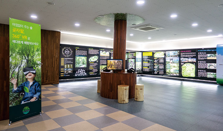 곶자왈 360VR 체험