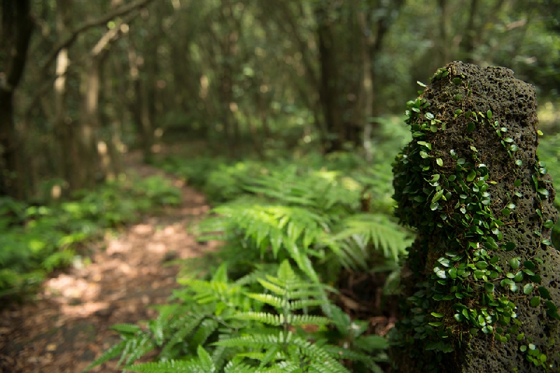 사람 현상을 한 석바위