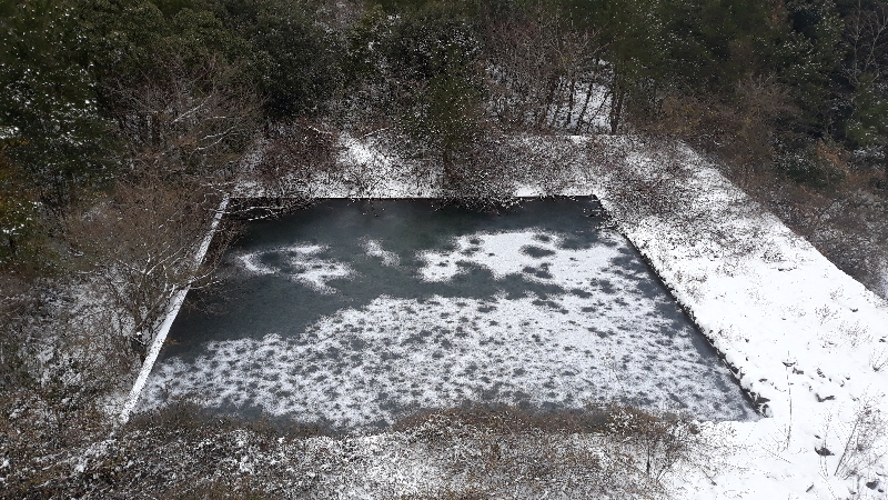 곶자왈 겨울풍경(우마급수장)