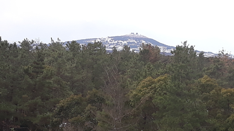 전망대에서 바라본 풍경 