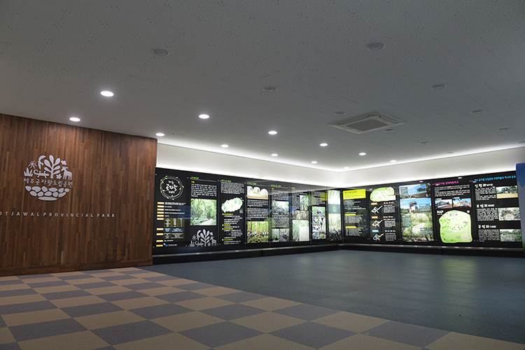 제주곶자왈도립공원 내부