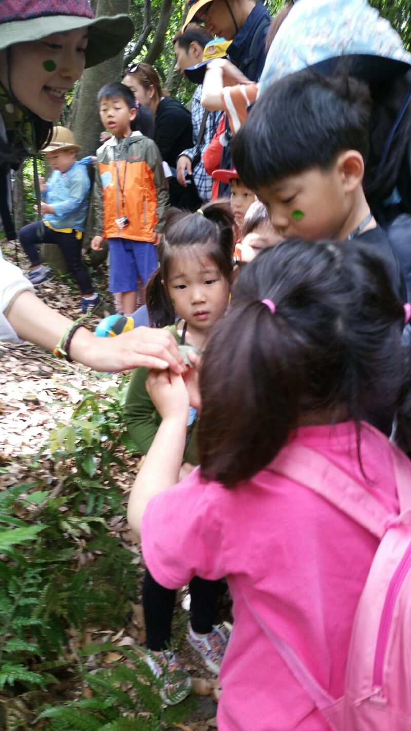 2017년 숲체험"애벌레는 손바닥으로  만지면 안된대요."