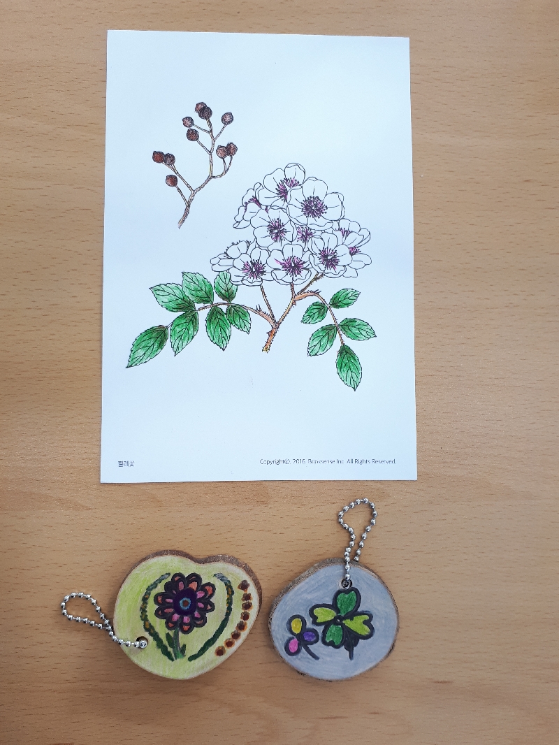 2017년 제주곶자왈도립공원 체험사진