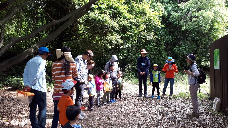 2017년 곶자왈도립공원 숲체험