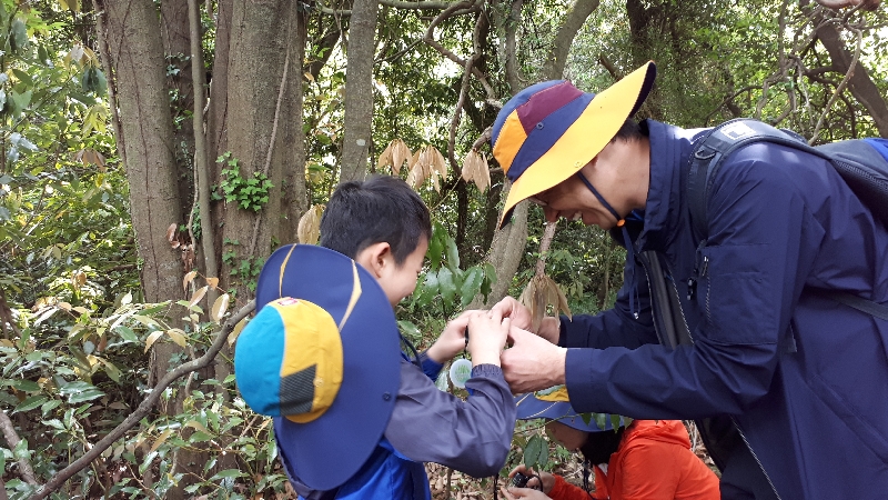 2017년 곶자왈 숲체험