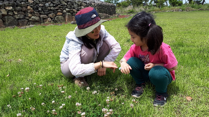 2017년 생태놀이를 통해 곶자왈을 알게되었어요.