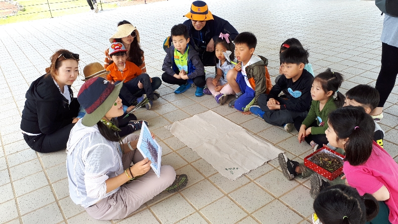 2017년 가족 새둥지 만들기