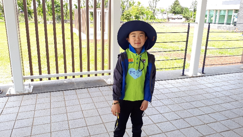 2017년 자연미술