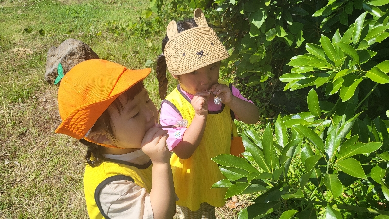 2024.6.18숲속놀이터 (신화월드어린이집)