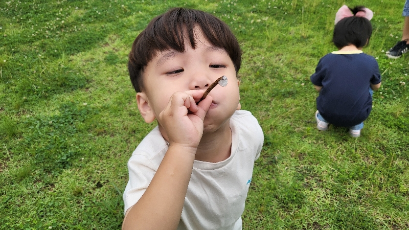 2024.6.25숲속놀이터 (대정어린이집)