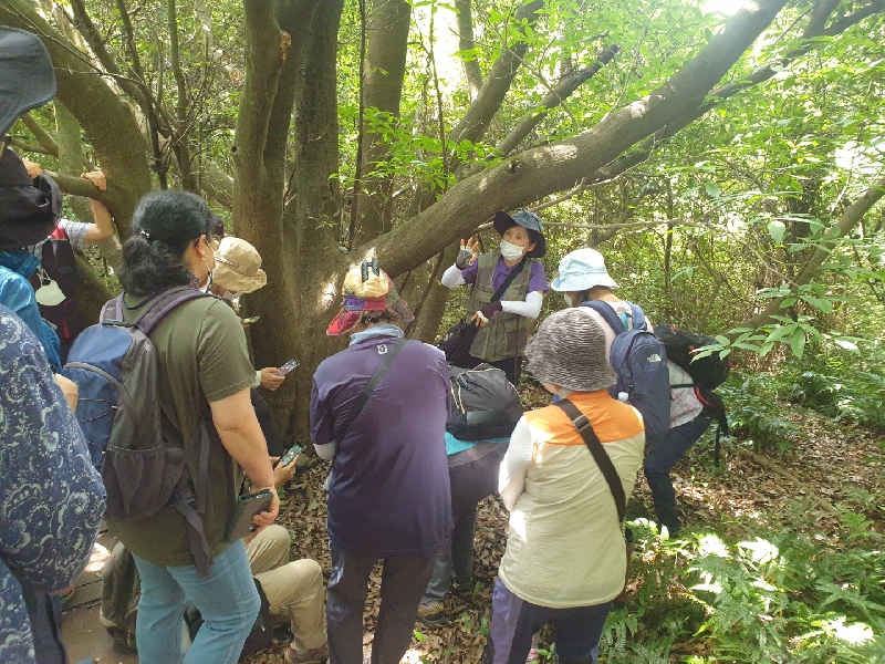 2022. 07. 20.(수) 생태특강 - 곶자왈의 버섯