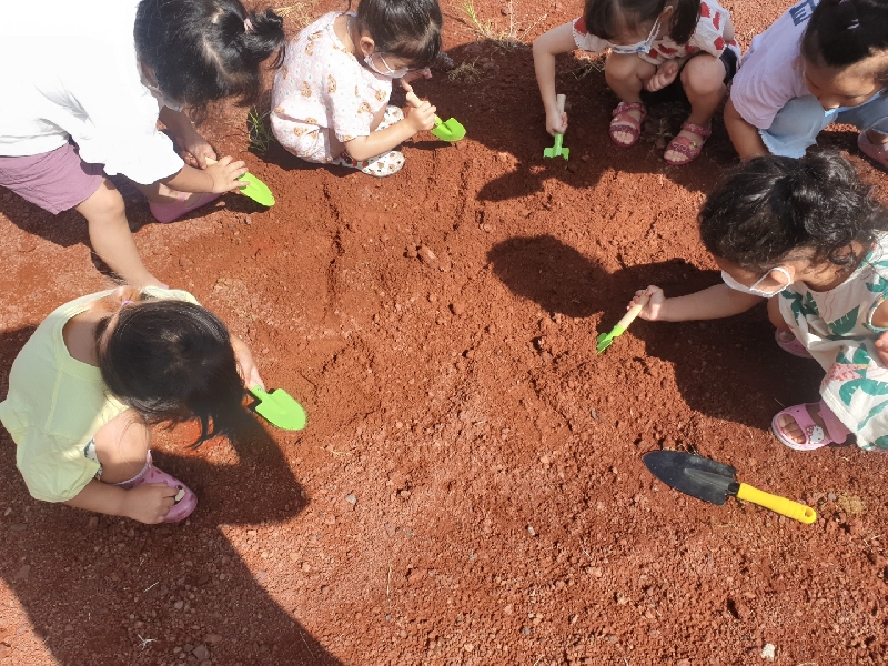 2022.07.25.숲속놀이터(대정어린이집)