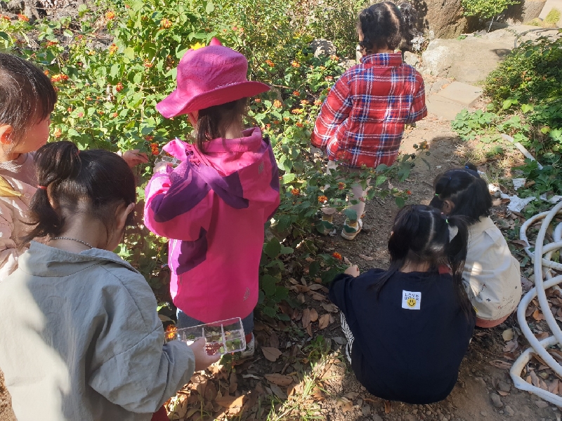 2022. 10. 24. 숲속놀이터(대정어린이집)