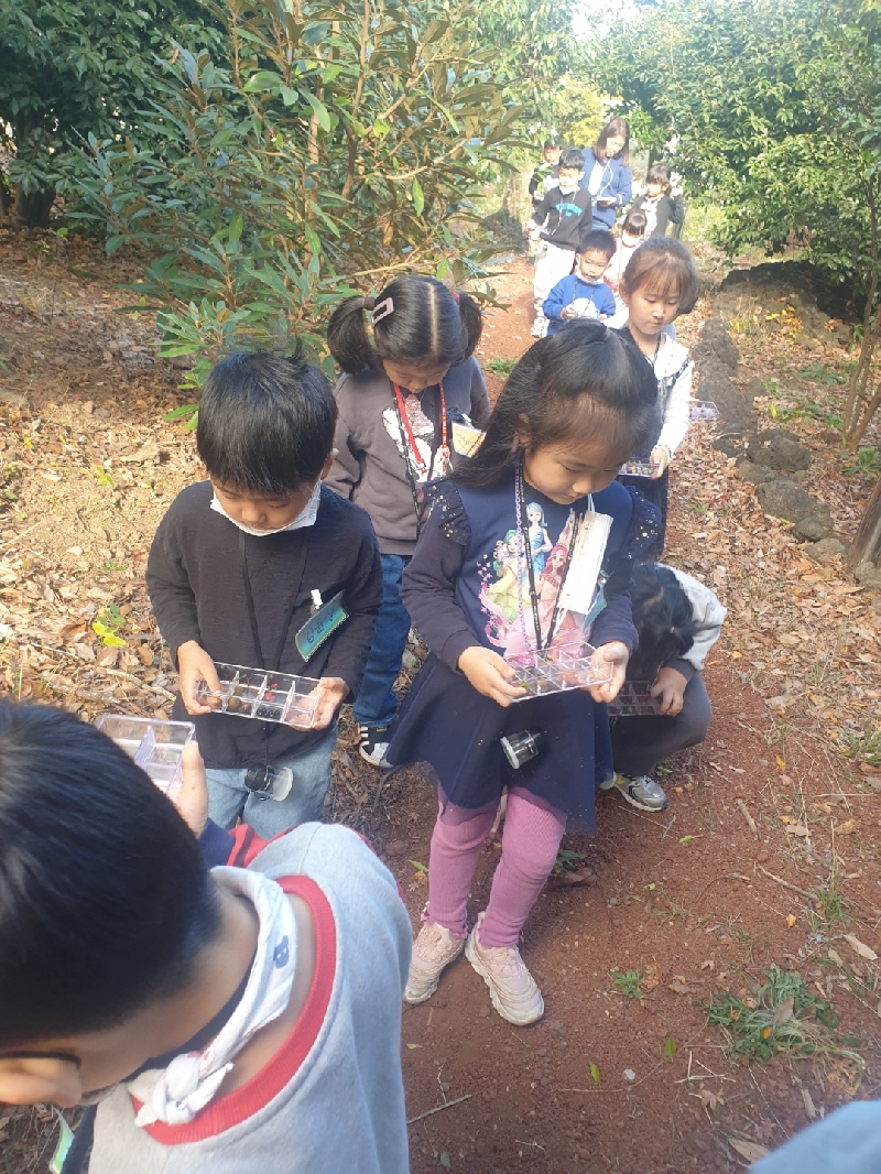 2022. 11. 28. 숲속놀이터(대정어린이집 열매반)
