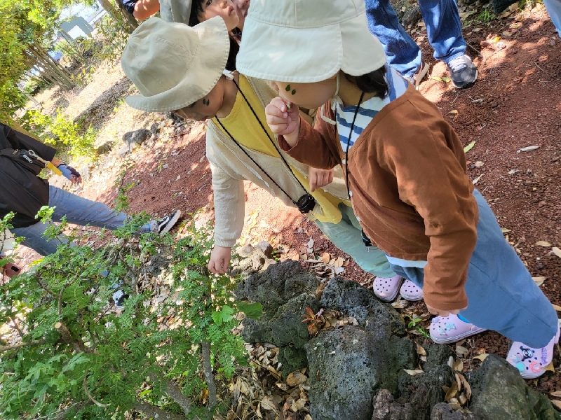 2023. 06. 17. 숲속놀이터(가족)