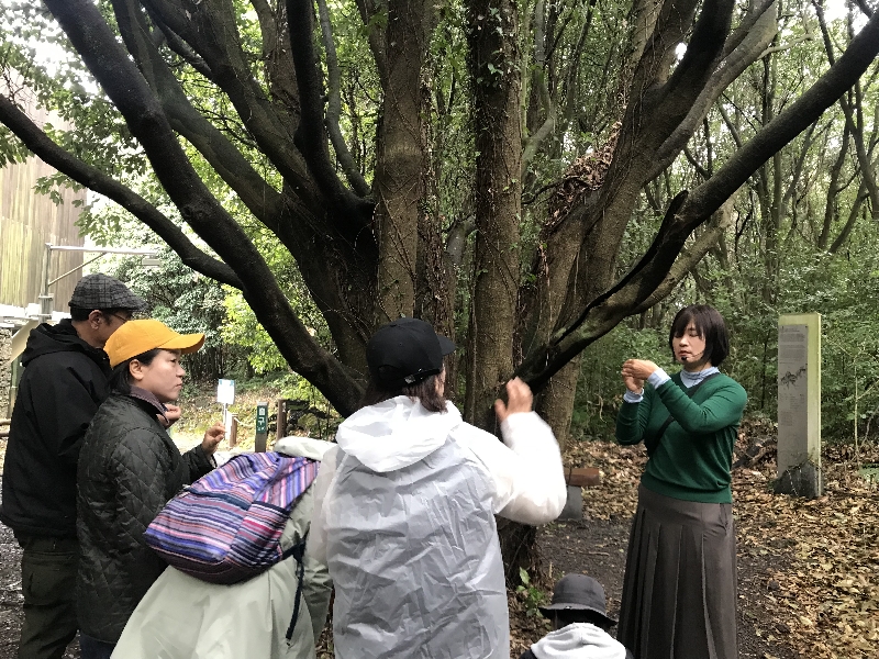 4~6월 영어숲해설