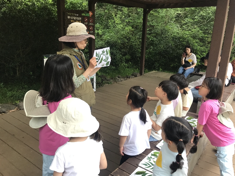 2025.06.07 가족숲속놀이터 