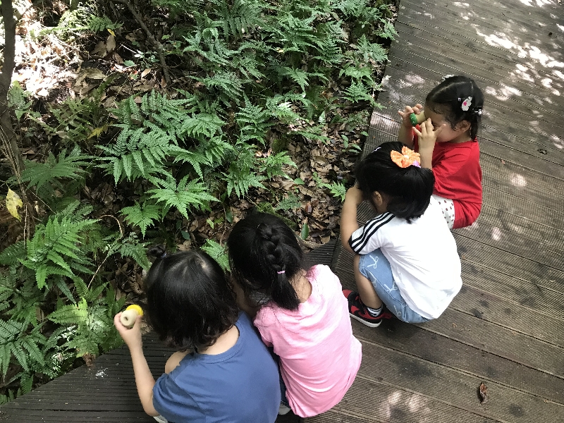 2025.06.27 숲속놀이터 (대정어린이집)