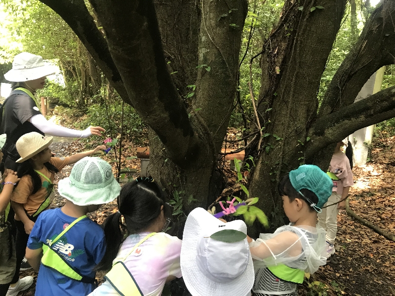 2025.07.15 숲속놀이터 (신화월드어린이집)