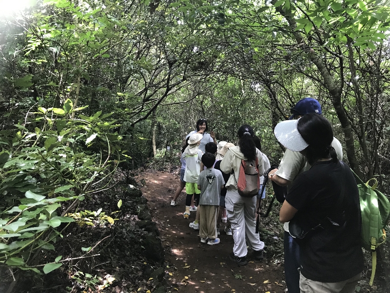 2025.07.19 영어 숲 탐방 해설