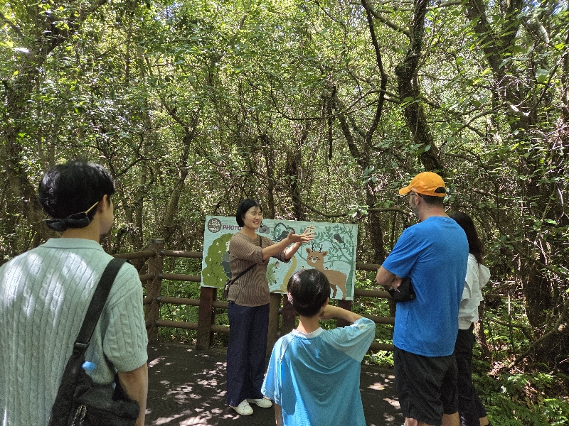 2025.09.06 영어 숲 탐방 해설