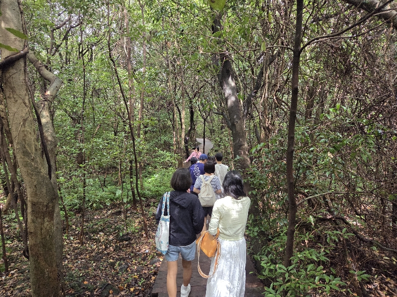 2025.09.20 영어 숲 해설 탐방