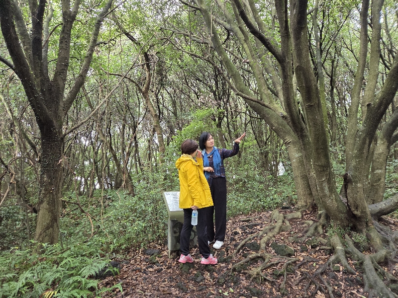 2025.10.18 영어 숲 해설 탐방