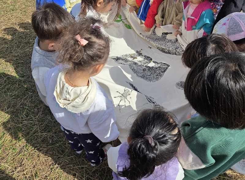 2025.10.24 숲속놀이터 (대정어린이집)