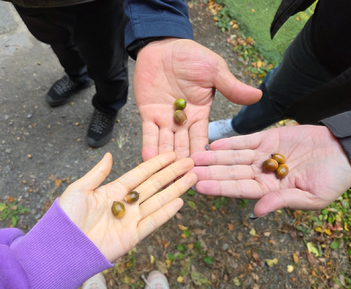 2025.11.22 영어 숲 해설 탐방