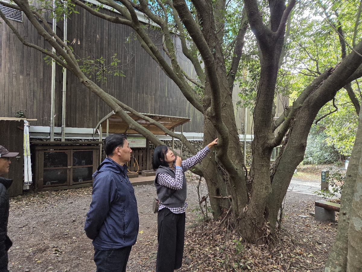 2025.12.13 영어 숲 해설 탐방