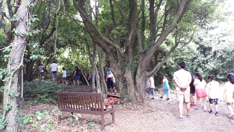 2017년 학산초 친구들의 곶자왈 탐방